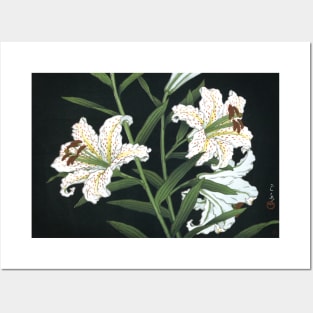 Golden Banded Lily by Kawase Hasui Posters and Art